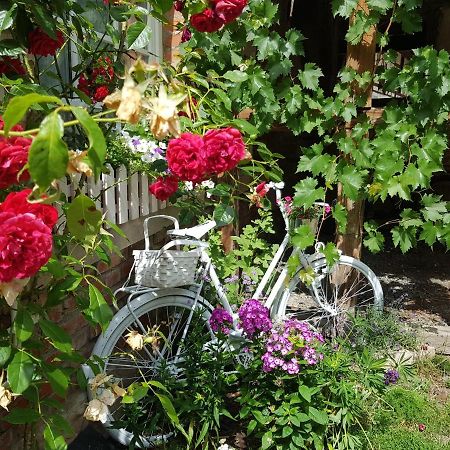 Romantisches Rosencottage Hofheim in Unterfranken Luaran gambar