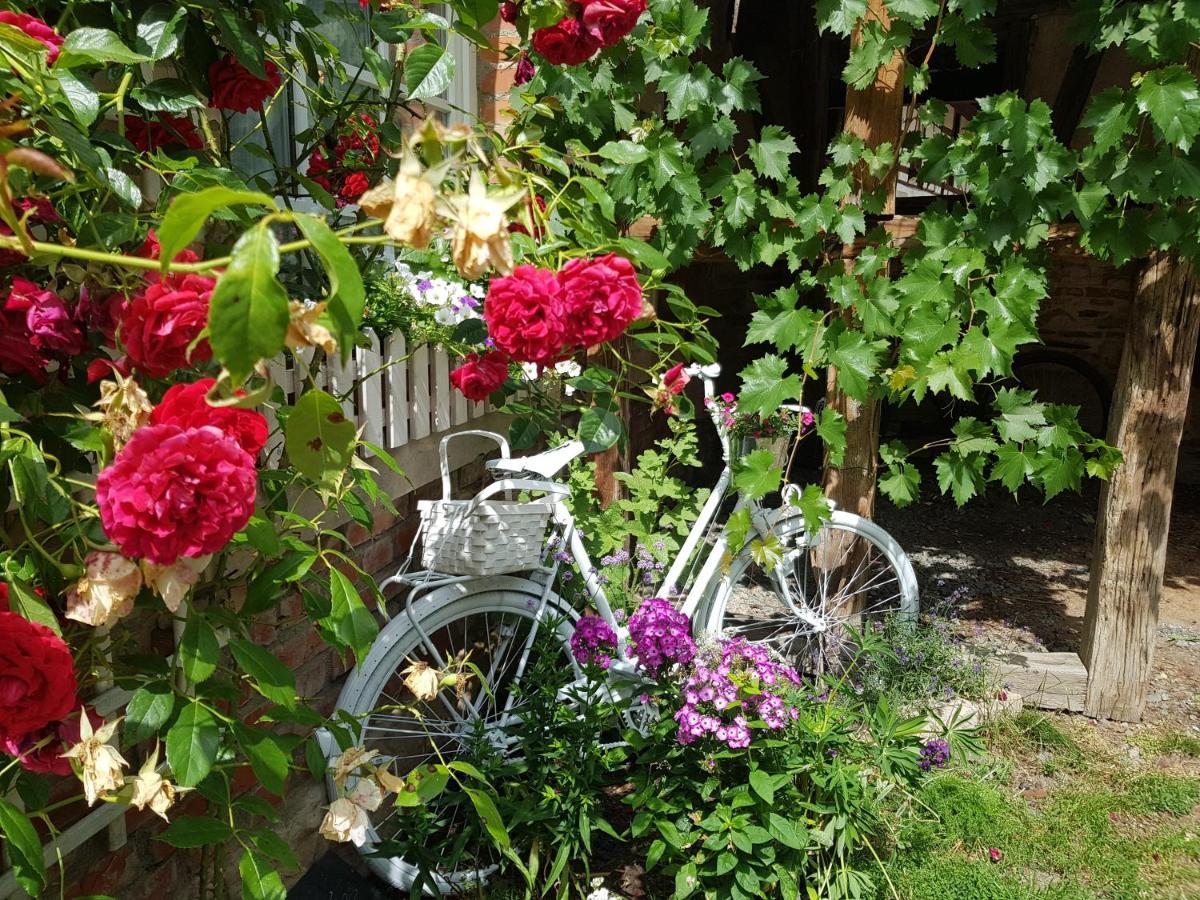 Romantisches Rosencottage Hofheim in Unterfranken Luaran gambar